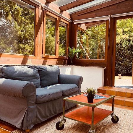 Ferienwohnung Mit Sauna Am Wald - Eifel Mechernich Exteriör bild